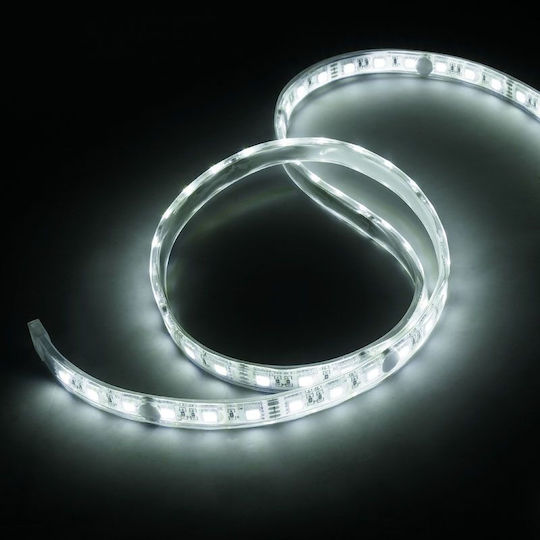 Lamptron Ταινία LED RGB Φως 10m