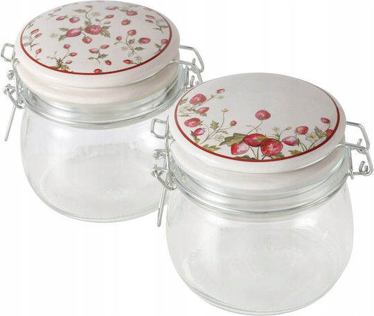 Boltze Vază Utilizare Generală Cu Capac Ermetic Sticlă Transparentă 450ml