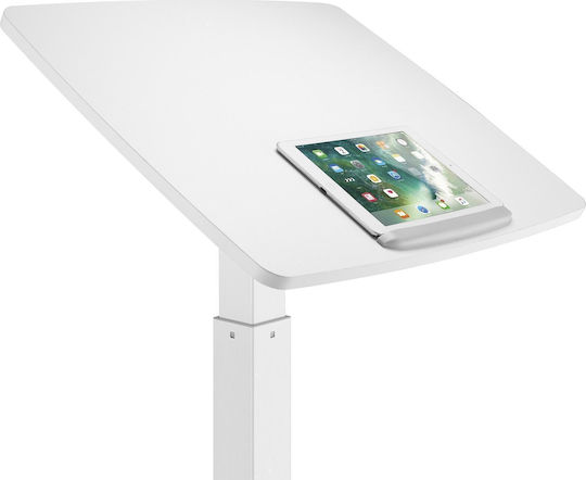 Maclean Energy Tabelul pentru Laptop Alb (MC-892W)