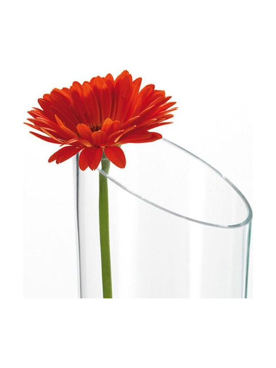Leonardo Decorative Vase Transparent