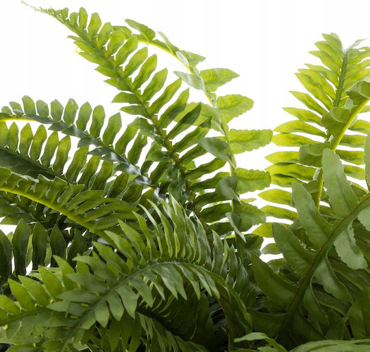 Atmosphera Artificial Plant Black Pot Height 55 cm Boston Fern