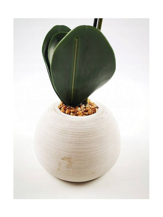 Createur D'interieur Orchid in Pot 50cm Atmosphera