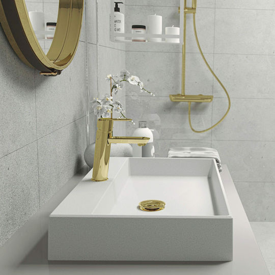 Deante Countertop Sink Porcelain 60x40x10cm Gray