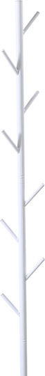 Pakketo Tebera Μεταλλικός Λευκός 395-000019 Pakketo Tebera Μεταλλικός Λευκός 395-000019