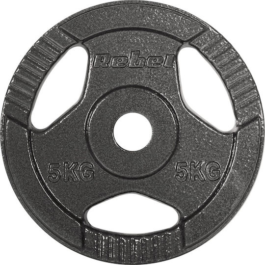 Σετ Δίσκοι Μεταλλικοί 4 x 5kg Φ31mm με Λαβές