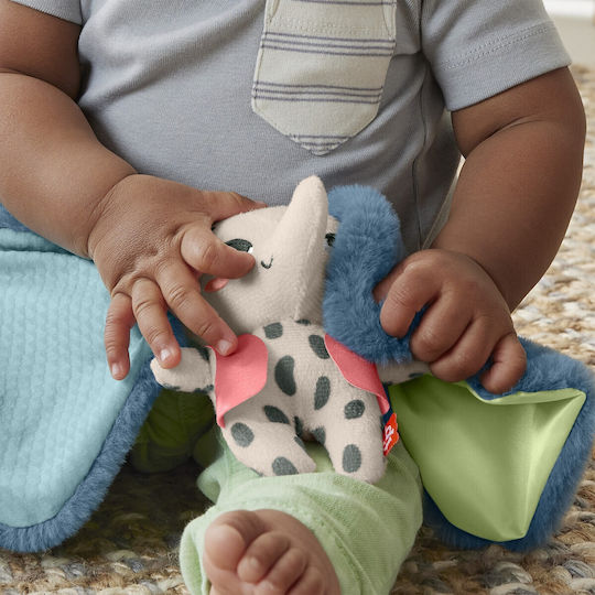 Fisher Price Animăluț Planet Friends pentru 3++ Luni