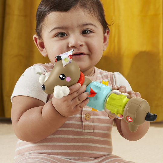 Fisher Price Animăluț Click and Spin Cățeluș Jucărie de Activitate Pentru Bebeluși 6+ Luni