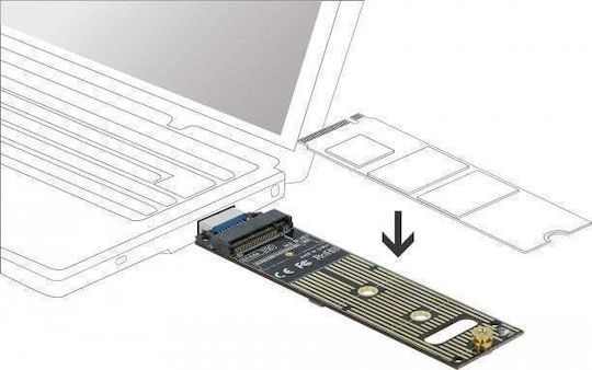 DeLock 64069 M.2 NVMe PCIe Карта с USB 3.1