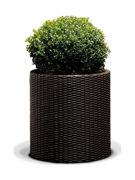 Large Brown Cylinder Flower Pot