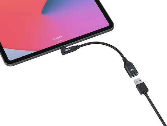 Conceptronic Конвертор USB-C мъжки към USB-A женски Черен 1бр ABBY19B