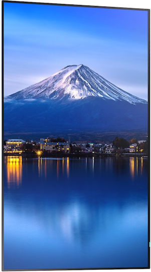 Sharp S55306074 Public Display LCD IPS 4K UHD 64.5"