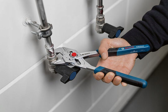 Bosch Γκαζοτανάλια 250mm