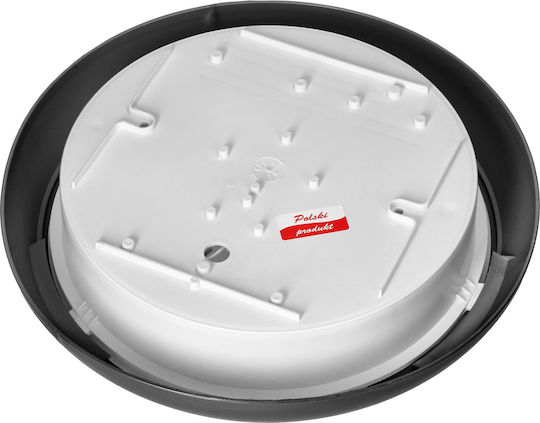 Orno Wall-Mounted Outdoor Ceiling Light E27 IP44