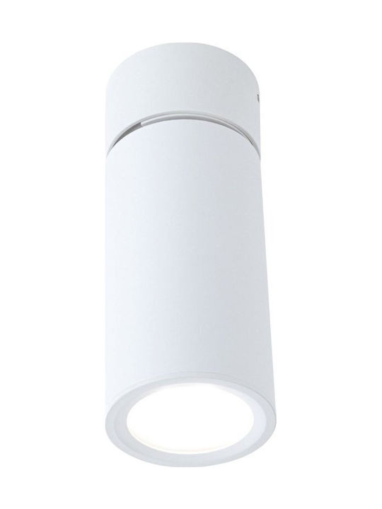 Paulmann 93087 Led Ceiling Light Surface Mount Light Turnal 470lm 3-step-dim Adjustable Round Incl 1x6 Watt Dimmable Ceiling Lamp Matte White Metal 2700 K Coin