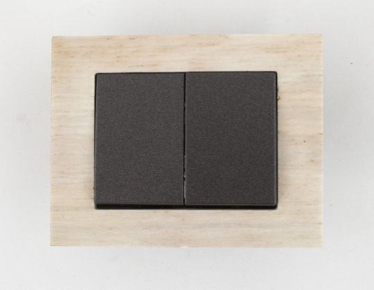 Black Xp500 Switch P510-020-12 V