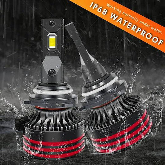 Conpex Λάμπες Αυτοκινήτου H8 Canbus LED 6000K Ψυχρό Λευκό 12V 2τμχ