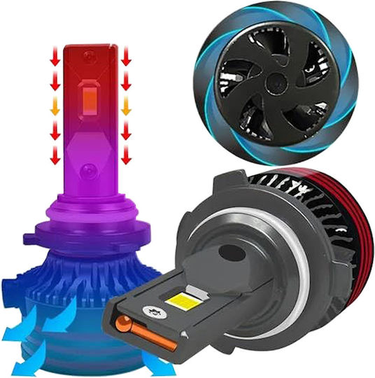 Conpex Λάμπες Αυτοκινήτου H8 Canbus LED 6000K Ψυχρό Λευκό 12V 2τμχ
