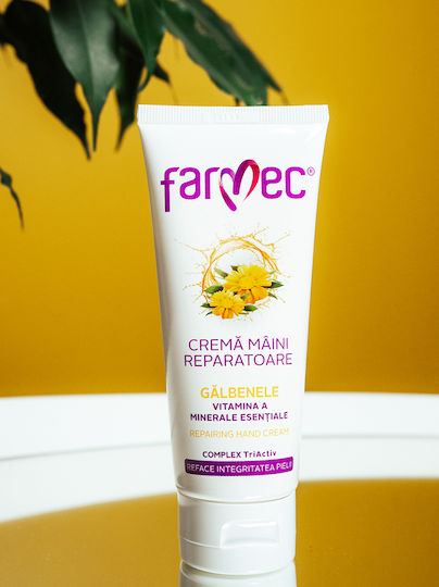 Farmec Rich Αναπλαστική Κρέμα για Σκασμένα Χέρια 100ml