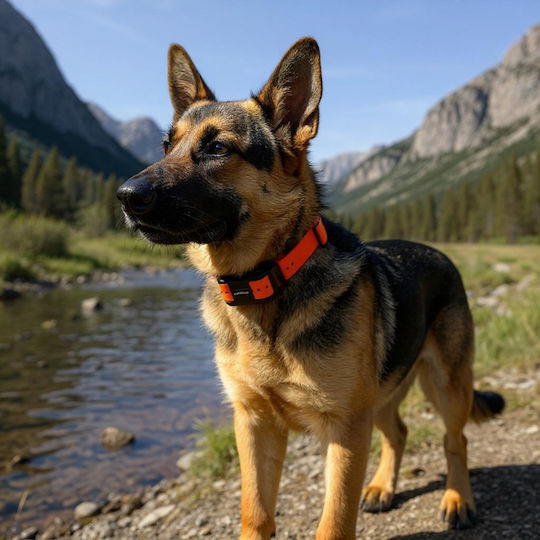 Petzeye Gps Animal Tracking Device 919 4g