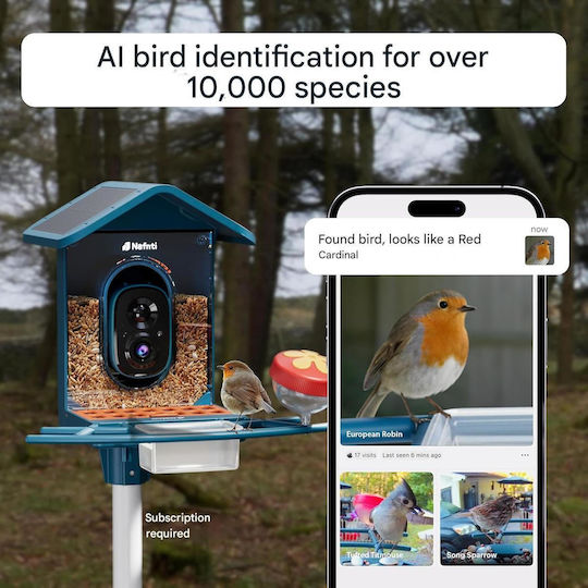 Smart Bird Vogelfütterung