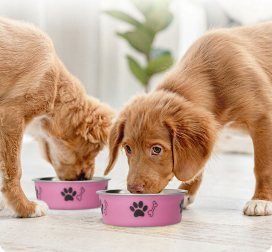 Barry King Metallic Bowl Food for Dog & Cat with Base 300ml 10.5cm in Pink Color