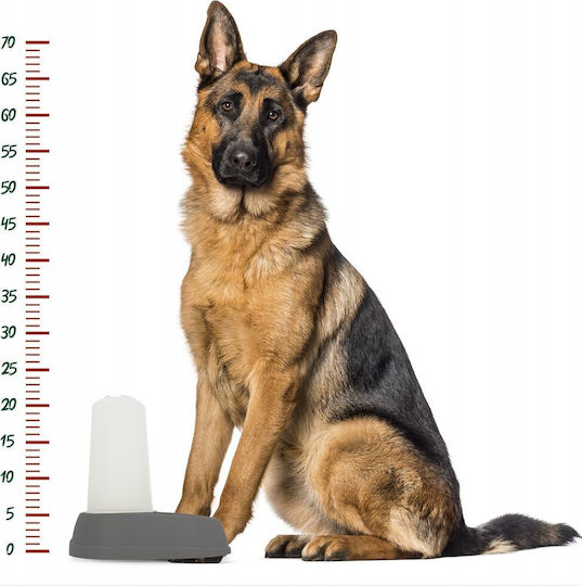 Barry King Automatic Plastic Bowl with Container Food & Water for Dog 2.5lt 13cm in Gray Color