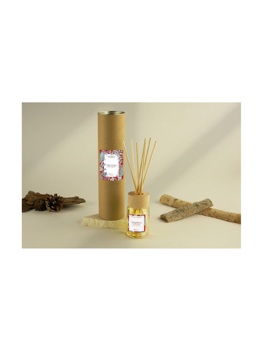 Gingerbread & Orange Αρωματικό Χώρου Στικς 100ml Special Edt Ambientair