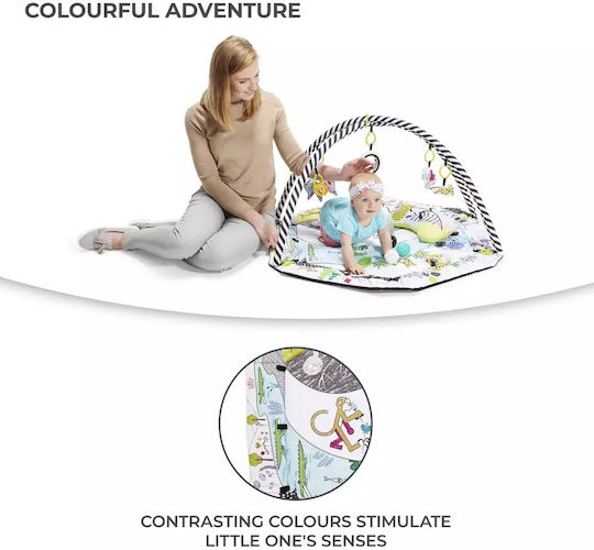 Kinderkraft Activity Gym for Newborns