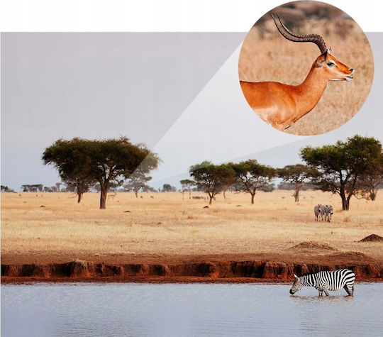 K&F Concept Observation Binocular