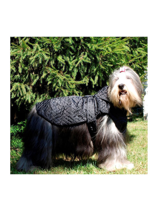 Derk Black Matlasate 33cm Size 5