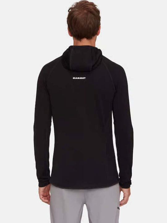 Mammut Mammut