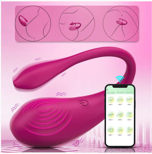 APH Egg Vibrator With Remote Control Pink