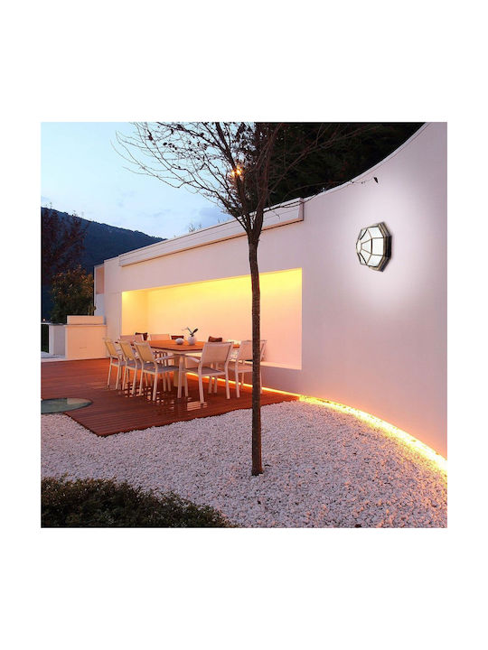 Vivalux Berlin Outdoor Ceiling Light E27 VIV004265