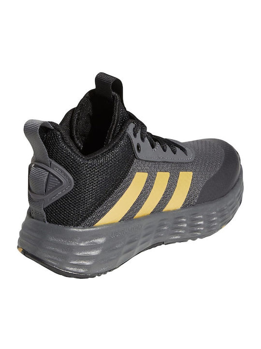 Ownthegame OwnTheGame 2.0 K Kids Sports Shoes Basketball with Laces Grey Five / Matte Gold / Core Black