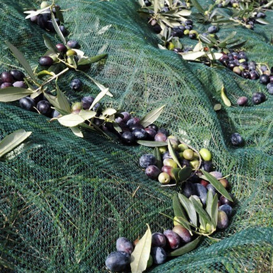 Ελαιονέτ Ελαιόδιχτο 8x12m Πυκνότητας 85gr/m²