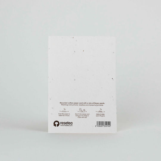 Plantable Postcard – May Nature Be You