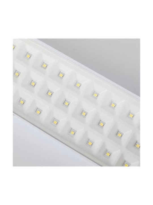 Lightplanet Dekorative Lampe Weiß