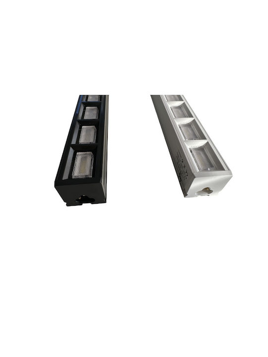 Lightplanet Decorative Lamp White