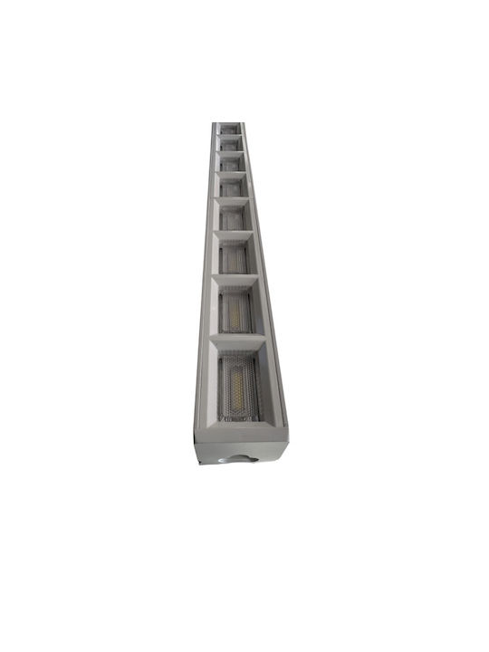 Lightplanet Decorative Lamp White