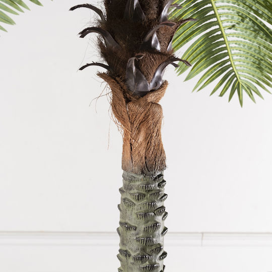 Supergreens Artificial Robellini Palm Tree Green 300 cm