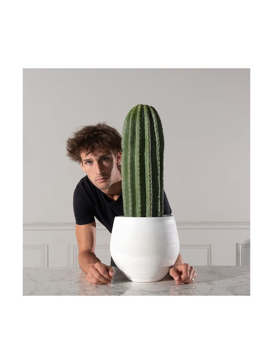 Κάκτος σε Γλάστρα 60cm Supergreens