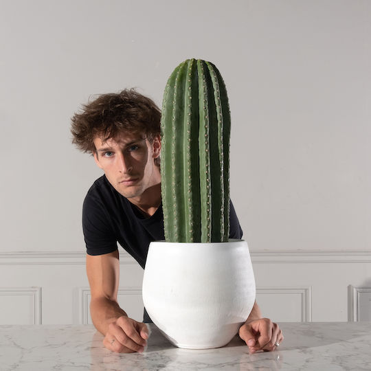 Artificial Plant in Pot Cactus Green 60cm Supergreens