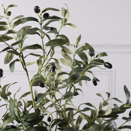 Olive Outdoor Tree Supergreens