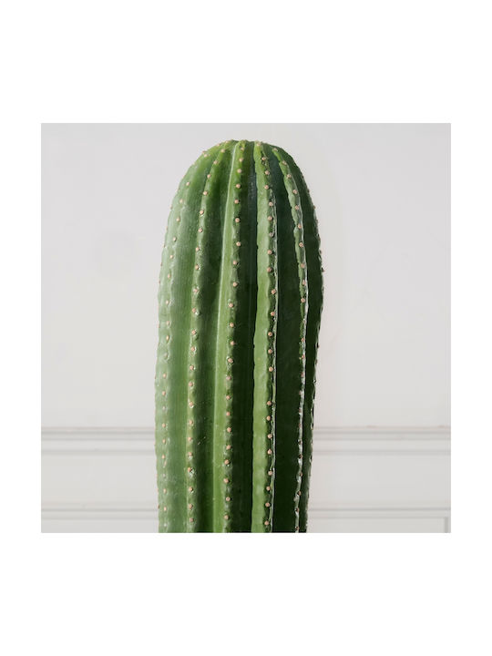 Κάκτος σε Γλάστρα 60cm Supergreens