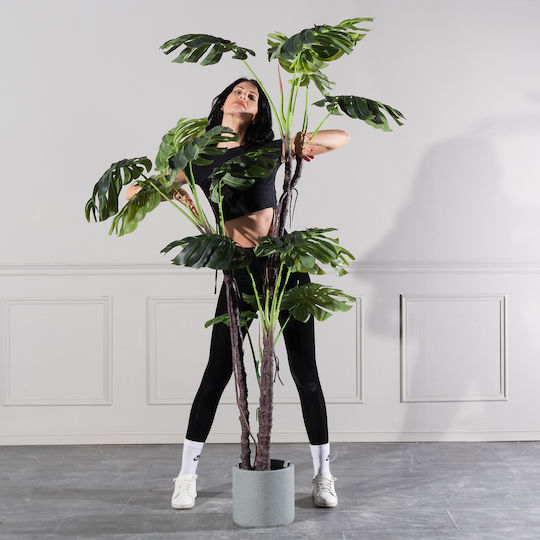 Изкуствено дърво за външно пространство Monstera Green 210см Supergreens