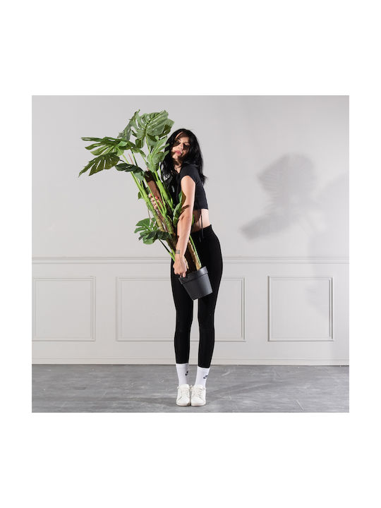 Μονστέρα Εξωτερικού Χώρου 130cm Supergreens