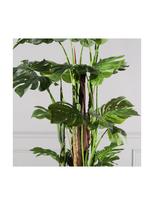 Μονστέρα Εξωτερικού Χώρου 195cm Supergreens