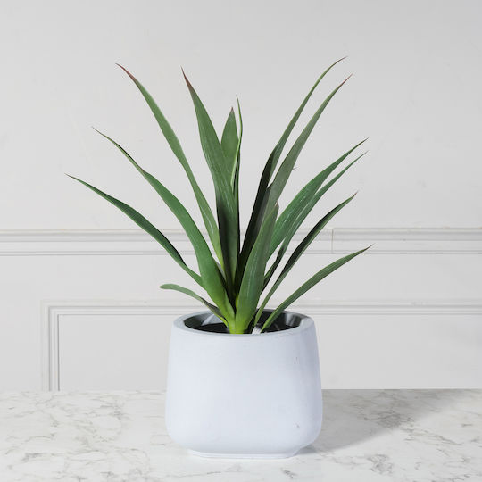 Künstlicher Baum für den Außenbereich Euphorbia Grün 67cm Supergreens