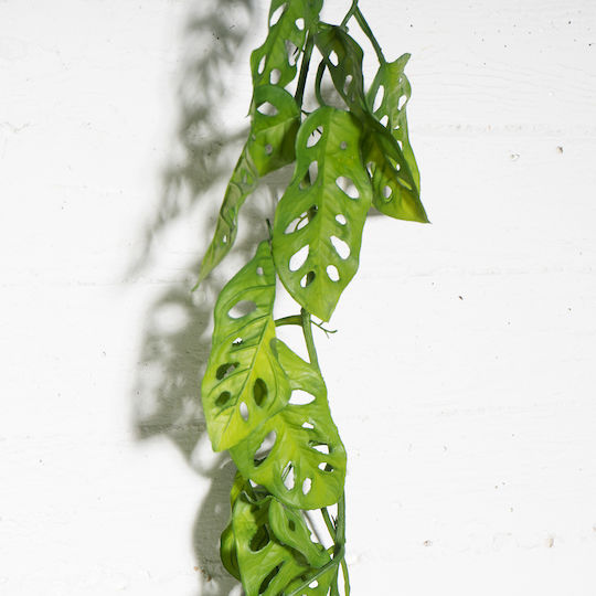 Dekorative Girlande Monstera 115cm Supergreens