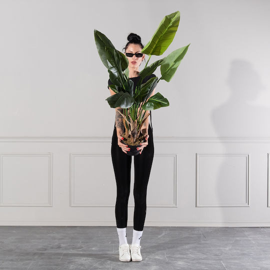 Künstlicher Baum für den Außenbereich Paradiesvogel Grün 140cm Supergreens